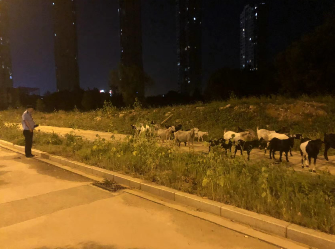 新闻早报：深夜集体出逃，武汉警方紧急截停！