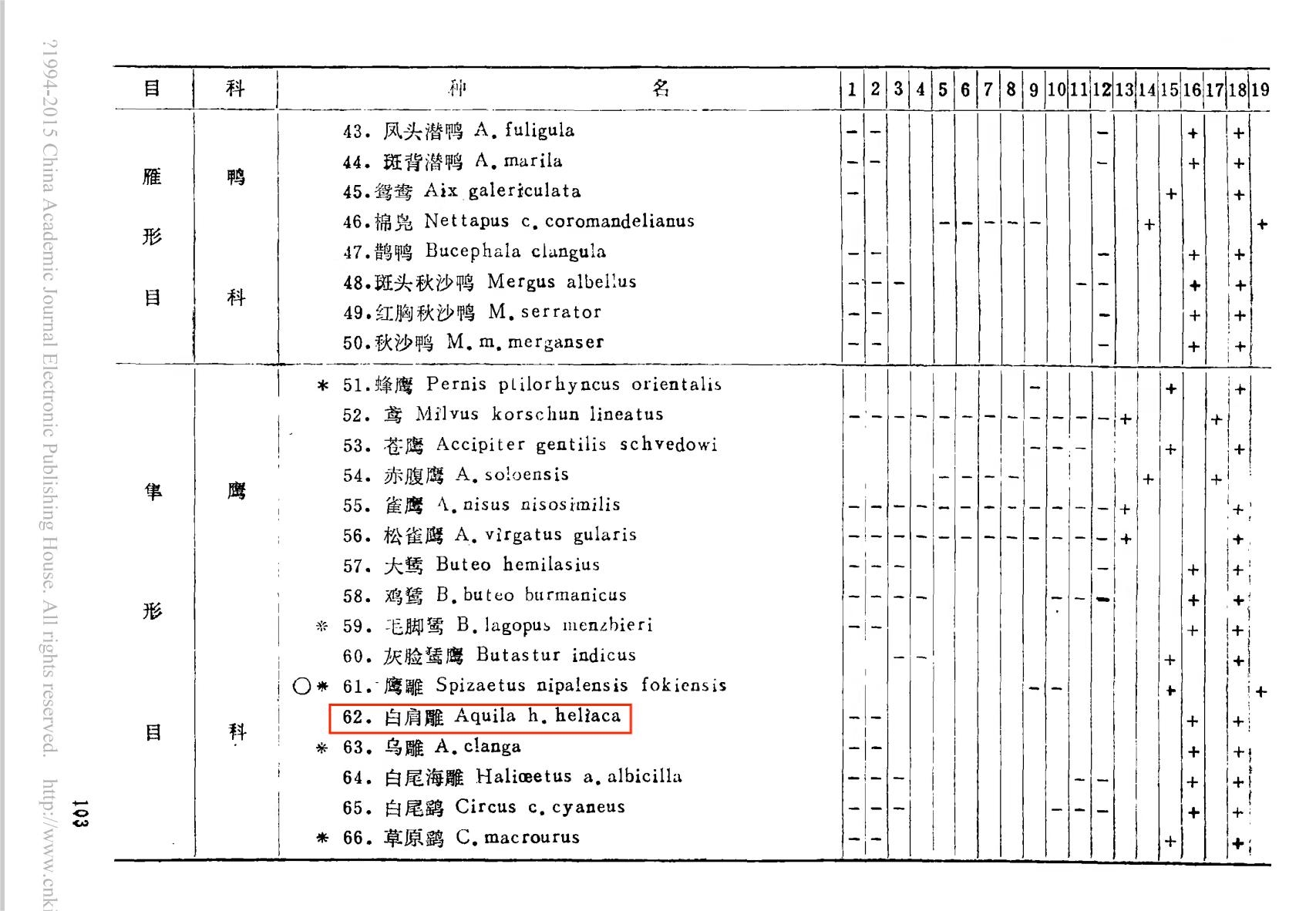 每经热评:“阔别”40年 珍稀猛禽白肩雕重回武汉天空