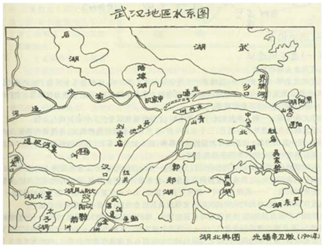 陈进:武汉发展与长江大保护
