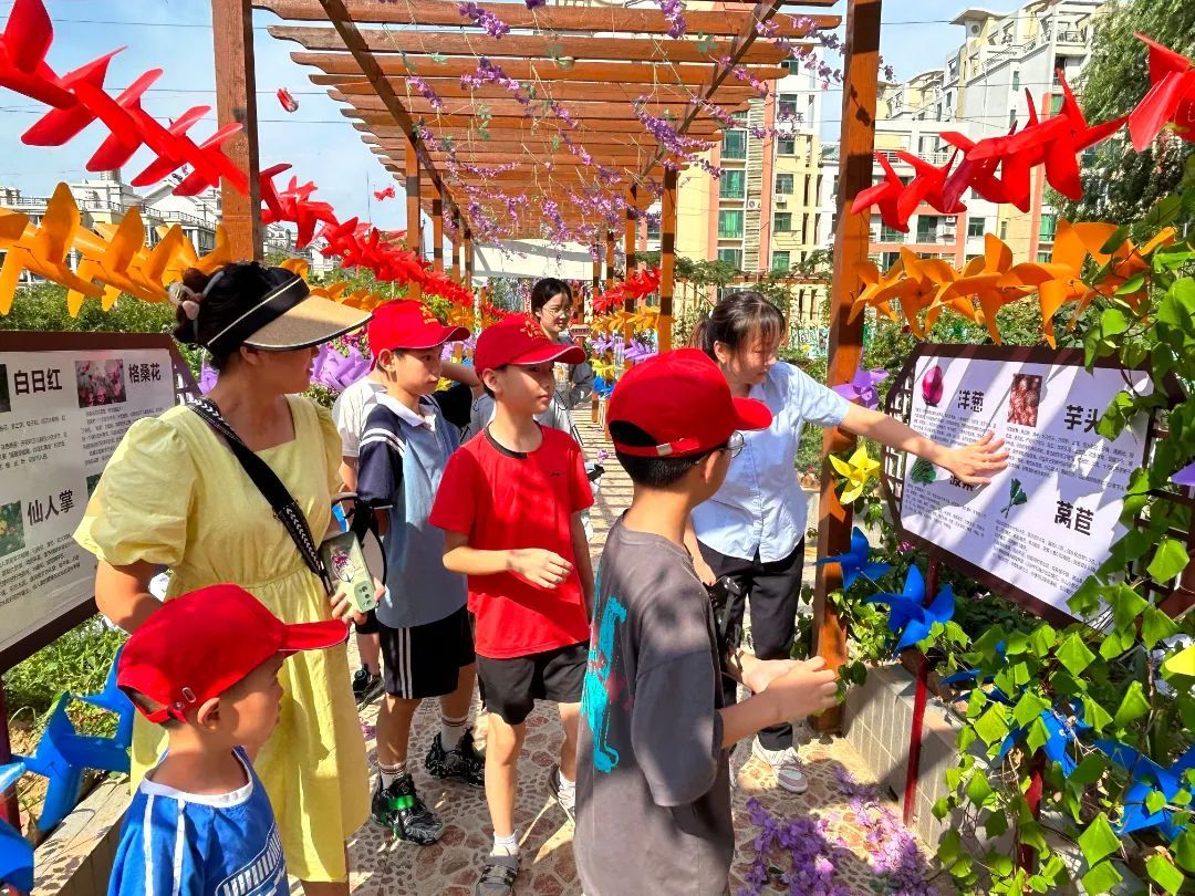 世界短讯|700㎡“屋顶花园”再升级！花果蔬菜全都有