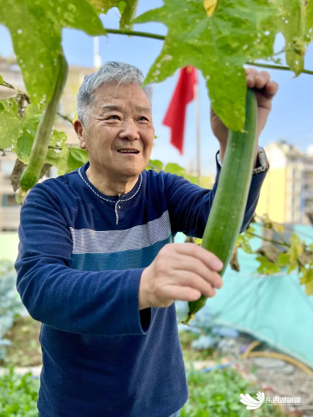 世界短讯|700㎡“屋顶花园”再升级！花果蔬菜全都有