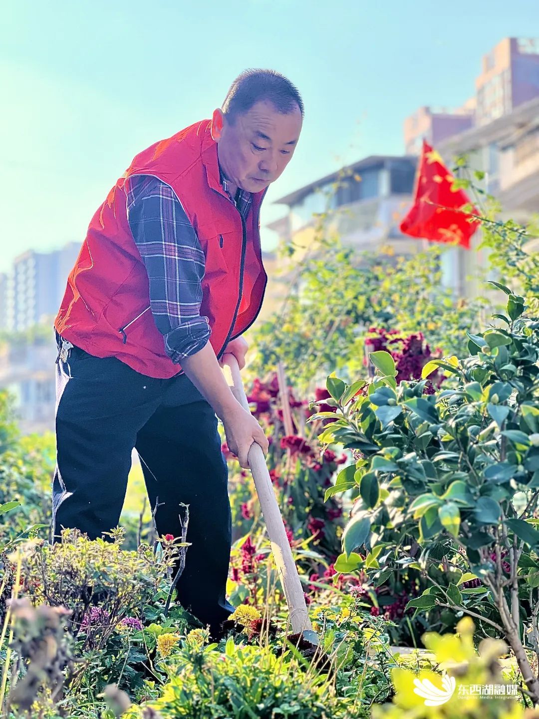 世界短讯|700㎡“屋顶花园”再升级！花果蔬菜全都有