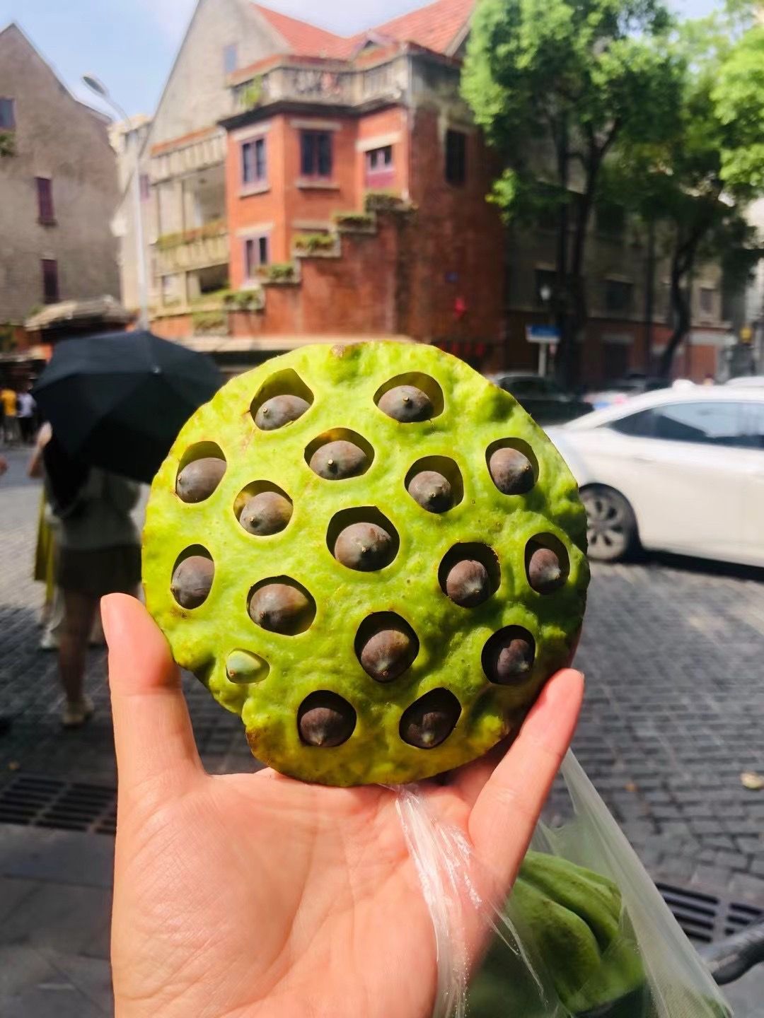 漫游武汉，随处遇见美好
