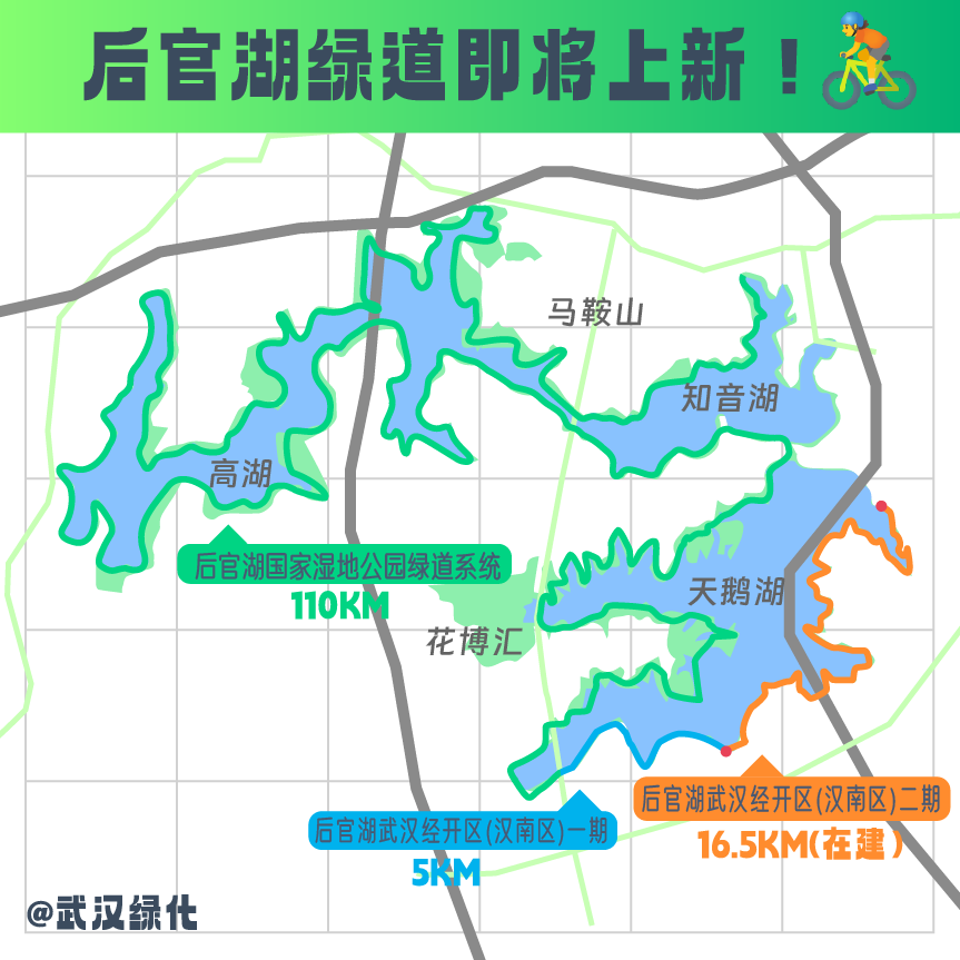 明年全线贯通，武汉绿道又上新！