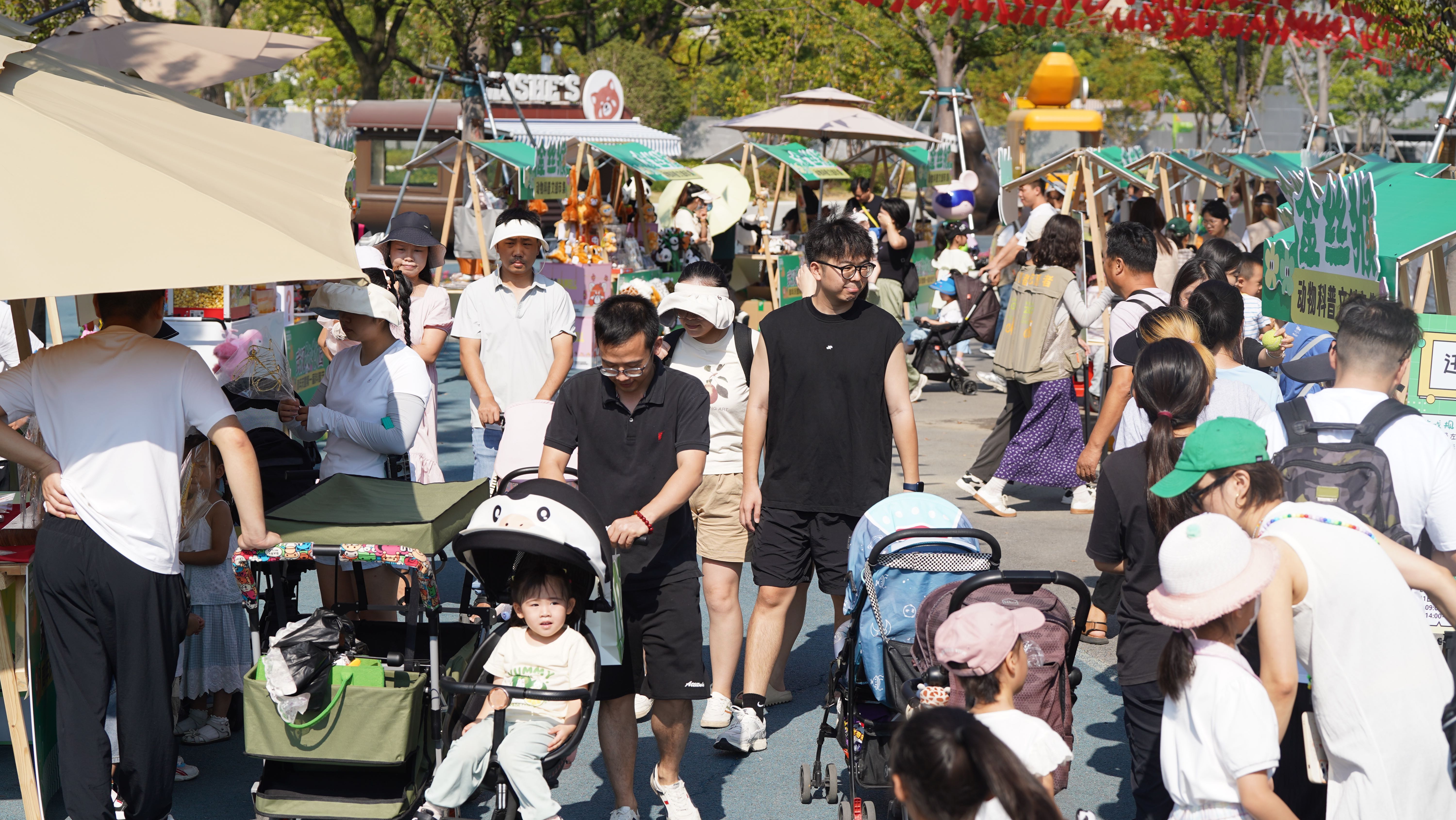 科学家助阵、志愿者守护、“寿星”免费游，武汉动物园首届“科普文化节”来了