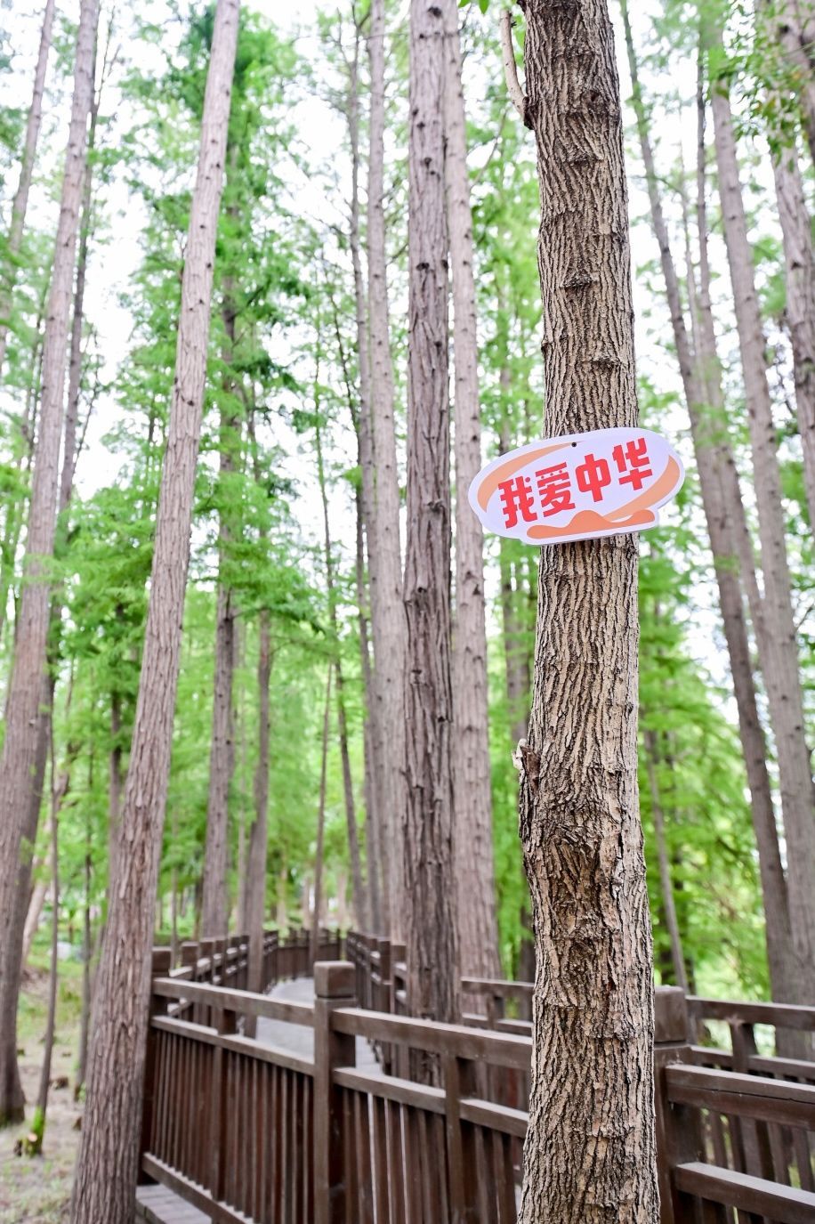 欢乐十足！国庆游客来落雁寻宝了