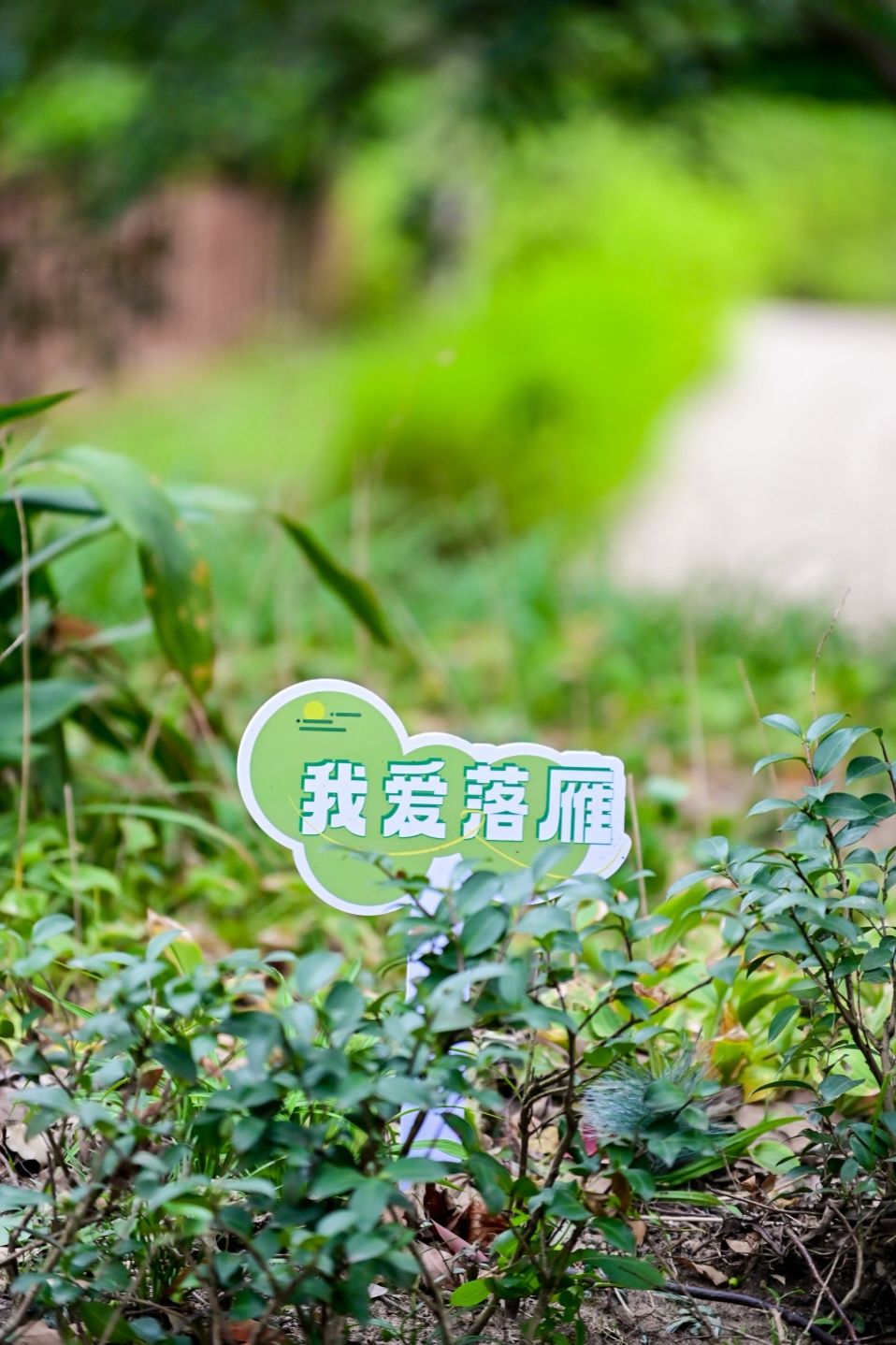 欢乐十足！国庆游客来落雁寻宝了