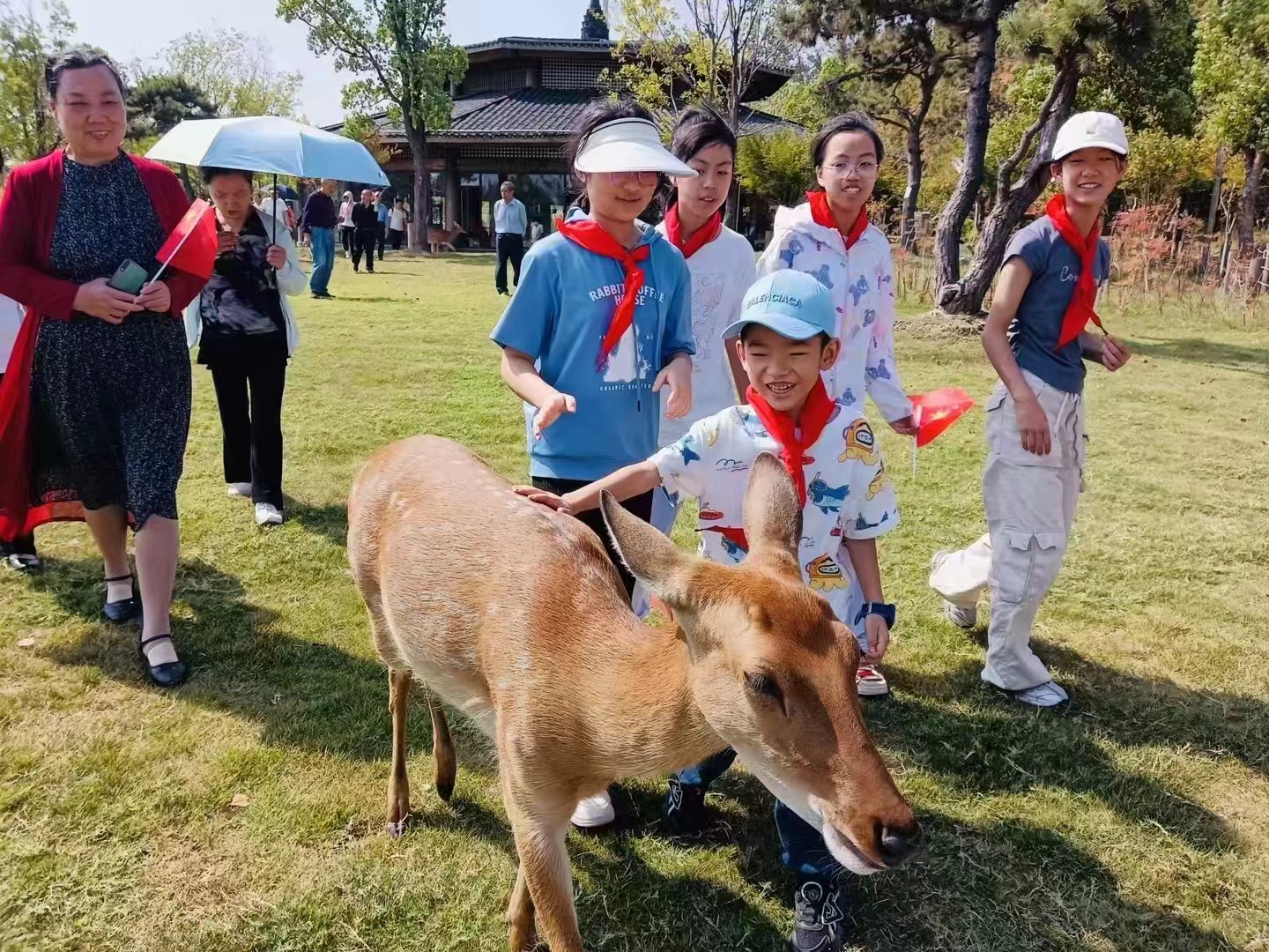 “拼手速才预订到！” 武汉乡村民宿国庆长假火出圈