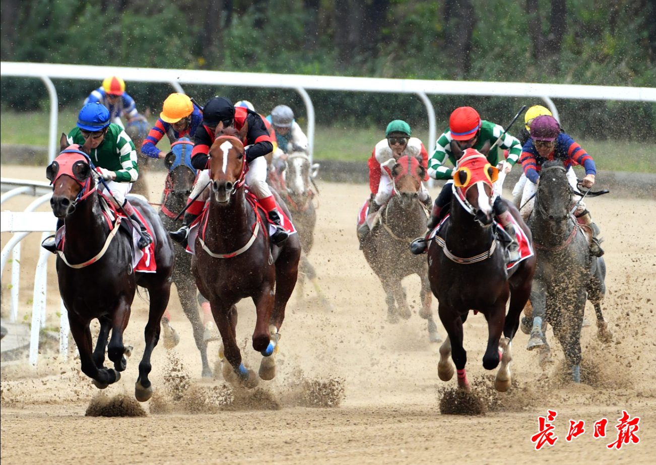 八方马友聚、一马动江城，21年武汉赛马节北京马主一届不落