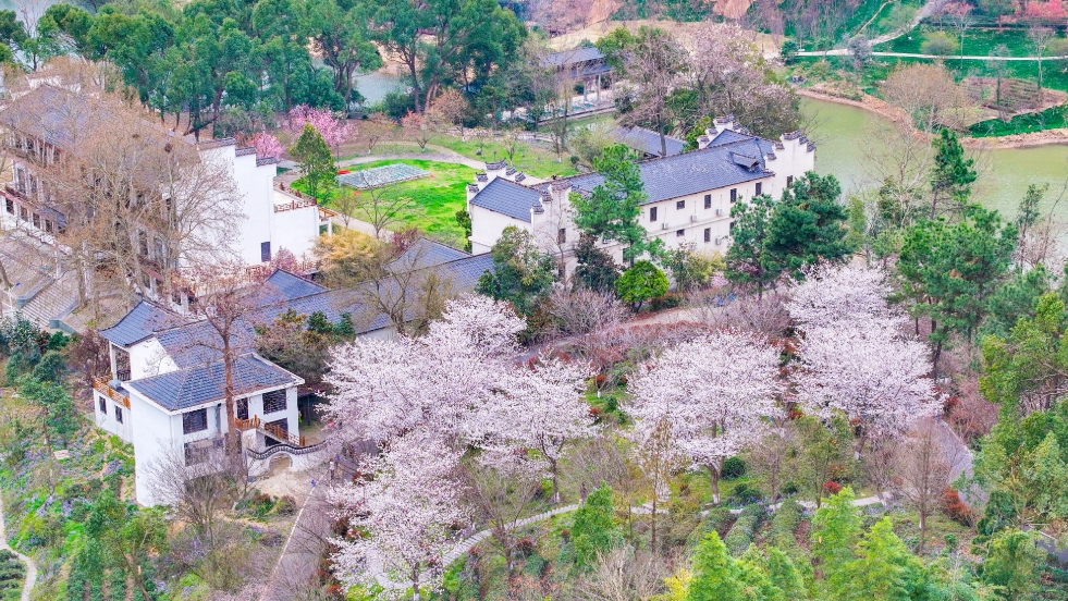 让乡村更美，武汉最新发布