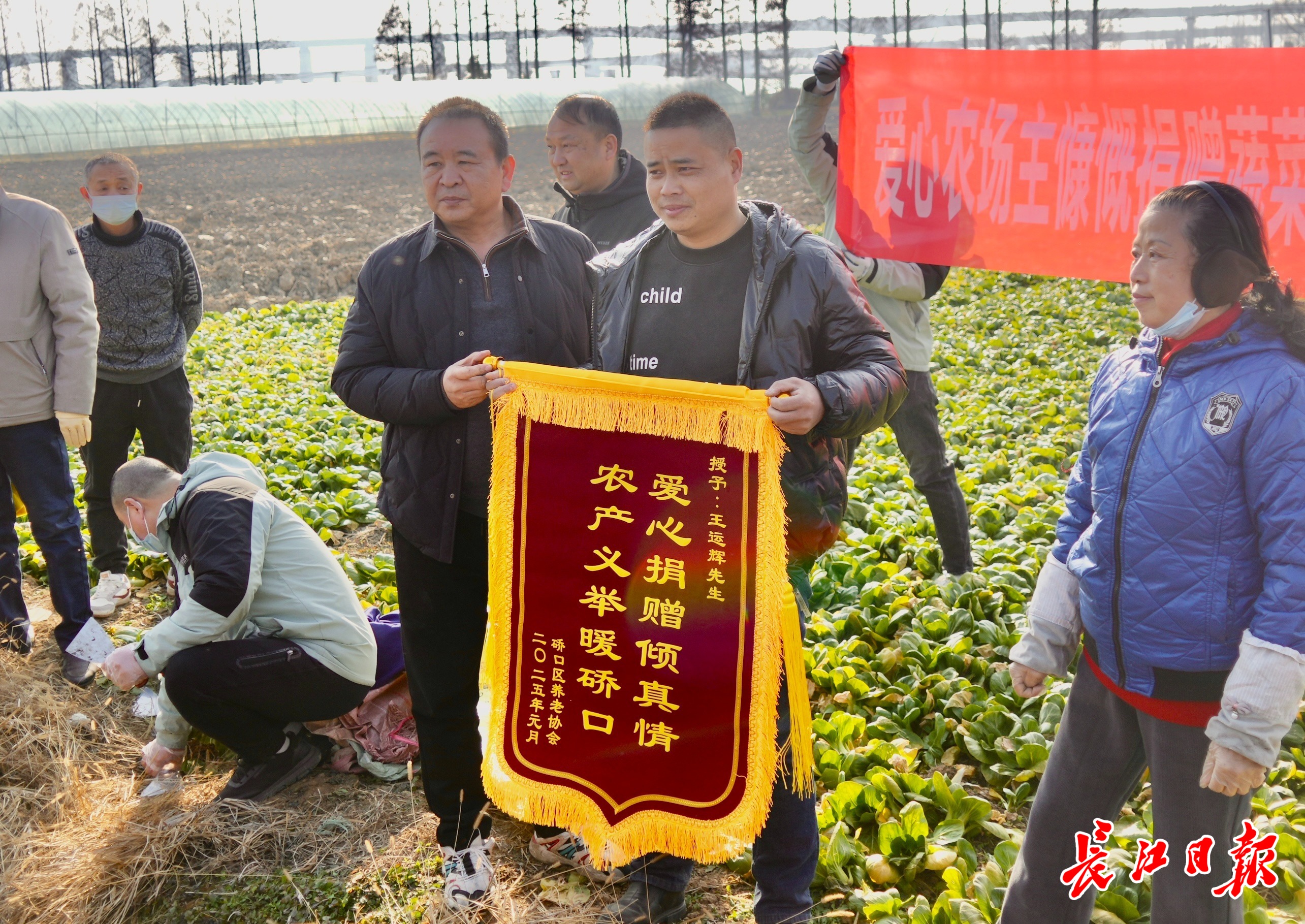 10万斤蔬菜，全部免费！可提前一天预约
