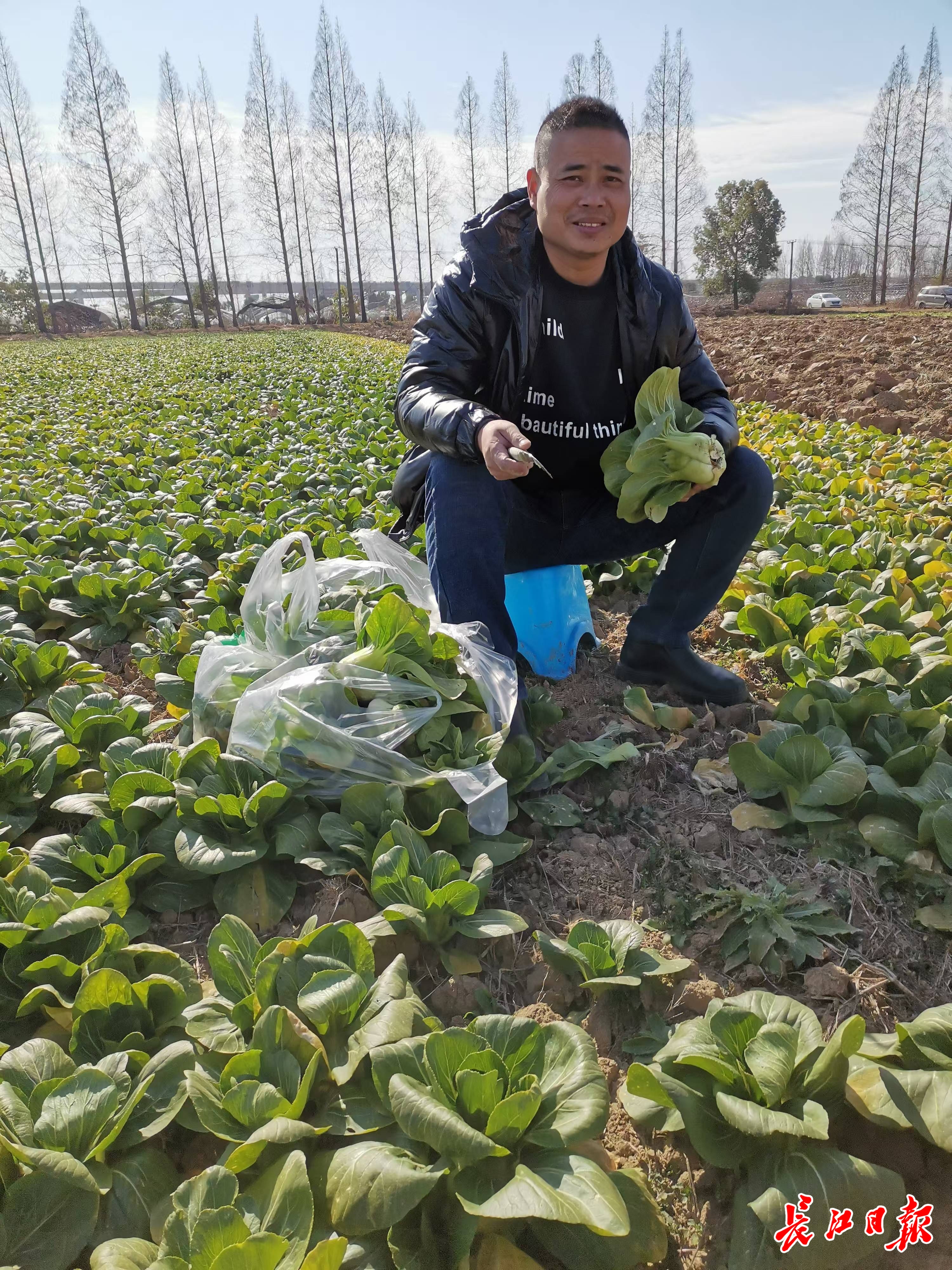 10万斤蔬菜，全部免费！可提前一天预约