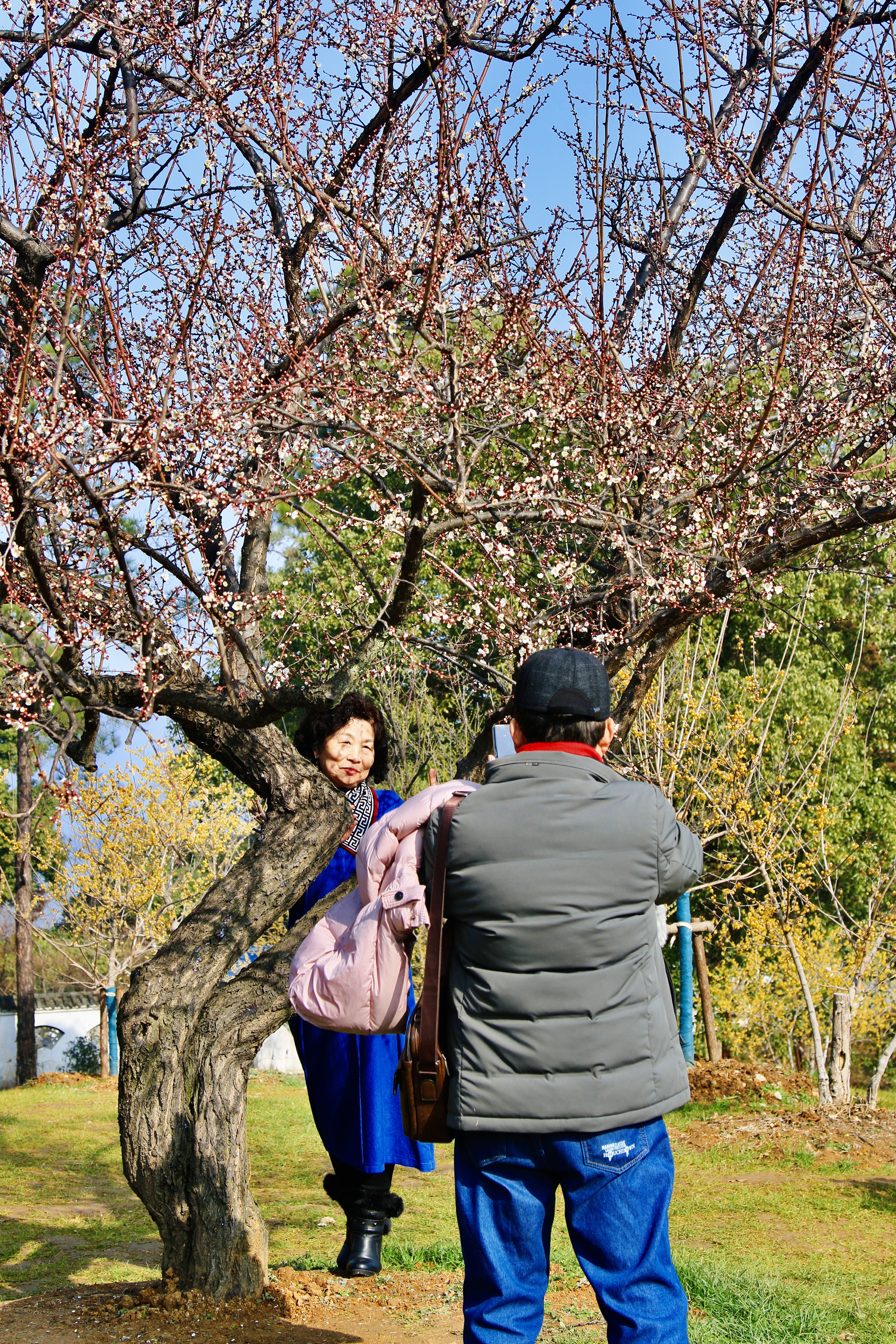 花海邂逅非遗，184.2万游客春节东湖“楚韵狂欢”