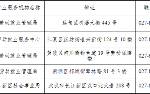 武汉脱贫劳动力一次性转移就业交通补助政策2025