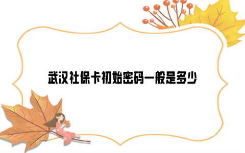 武汉社保卡初始密码一般是多少