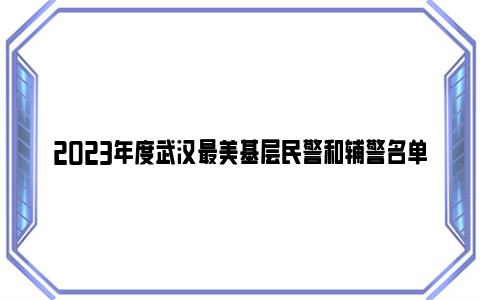 2023年度武汉最美基层民警和辅警名单