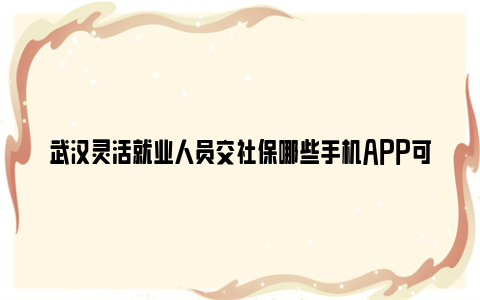 武汉灵活就业人员交社保哪些手机app可以缴费？