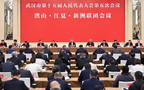 郭元强参加洪山江夏新洲代表团联团审议：坚持干字当头，强化创新驱动，为推动全市高质量发展作出更大贡献