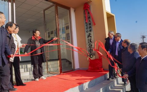 全球最繁忙迁飞通道候鸟种类，武汉占四成