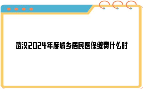 武汉2024年度城乡居民医保缴费什么时候结束
