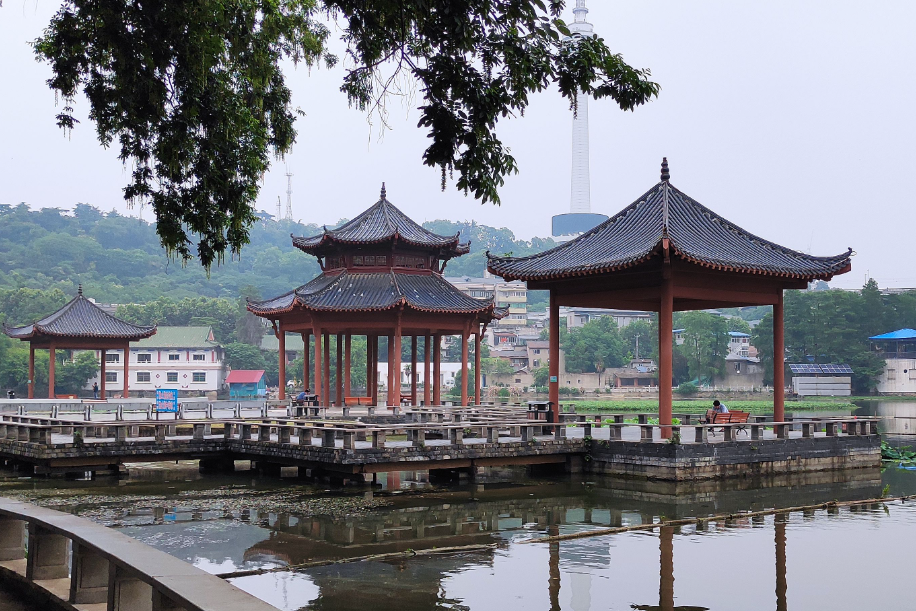 从汉阳的怡园到莲花湖公园