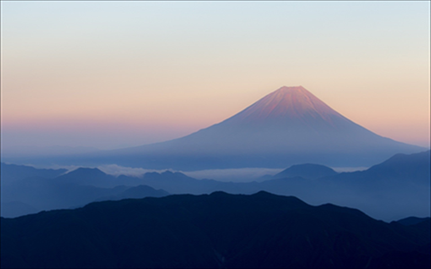 世界短讯|700㎡“屋顶花园”再升级！花果蔬菜全都有