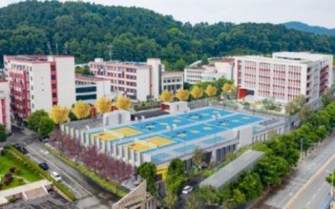 江夏红旗大道学校(十字岭学校)有初中吗2024