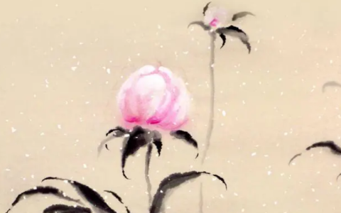 花开花落总是画