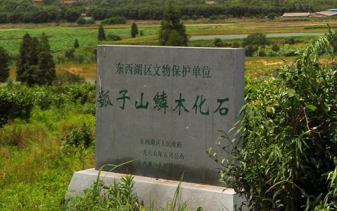 瓠子山的故事 瓠子山的来历