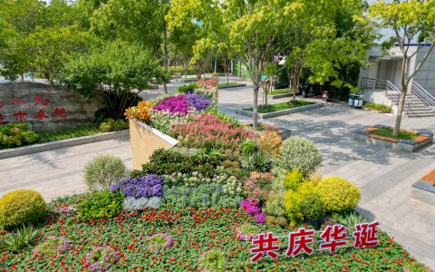 花式体验“公园 ”，武汉公园推出97项文化活动陪你过国庆