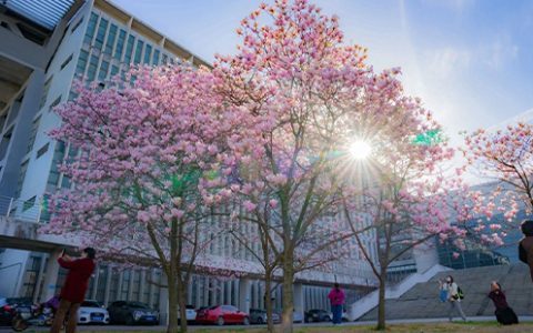 华中农业大学2025年硕士研究生招生简章