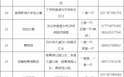 2024洪山区人才租赁房配租公告