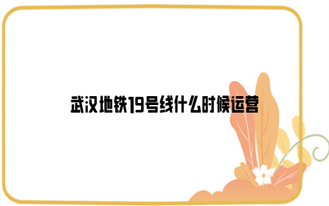 武汉地铁19号线什么时候运营