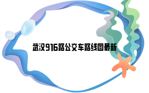 武汉916路公交车路线图最新