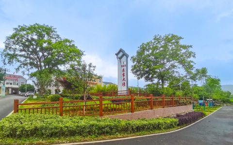 让乡村更美，武汉最新发布