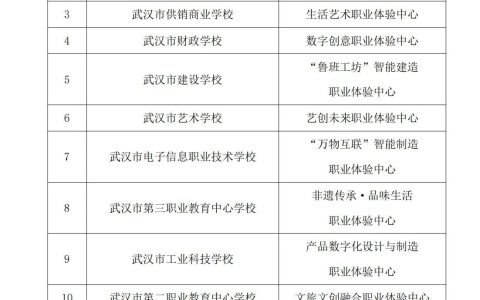 武汉第二批中小学生职业体验中心名单