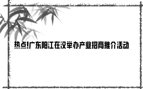 热点！广东阳江在汉举办产业招商推介活动 武汉为阳江产业注入“光力量”