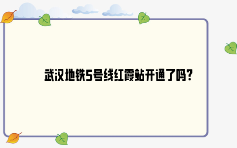 武汉地铁5号线红霞站开通了吗?
