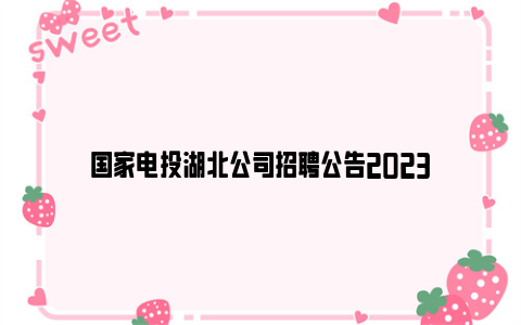 国家电投湖北公司招聘公告2023