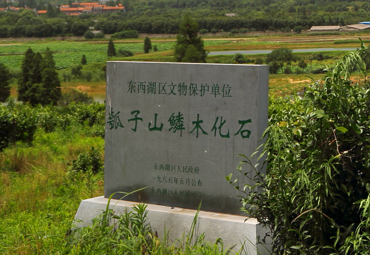 瓠子山的故事 瓠子山的来历